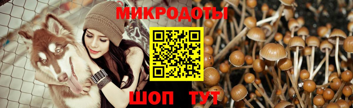 Мелеуз  Галлюциногенные грибы Magic Shrooms  Вход с VPN  Псилоцибиновые грибы Magic Shrooms 